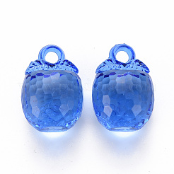 Autumn Theme Transparent Acrylic Pendants&nbsp;TACR-T024-04B-940