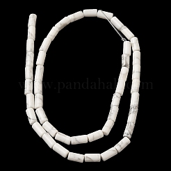 Natural Howlite Beads Strands&nbsp;G-B091-A17-01