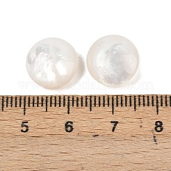 Natural White Shell Beads&nbsp;SSHEL-B006-03