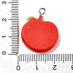 Opaque Resin Pendants&nbsp;RESI-K045-01C