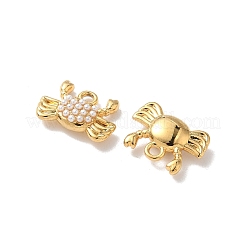 304 Stainless Steel Charms&nbsp;STAS-H483-26B-G