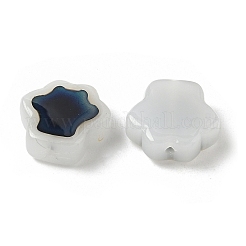 Glass Beads&nbsp;GLAA-P072-02