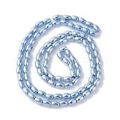 Electroplate Beads Strands&nbsp;X-EGLA-H104-02F