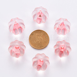 Transparent Acrylic Beads&nbsp;TACR-S154-19A-26