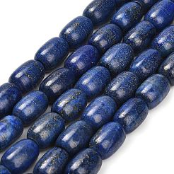 Natural Lapis Lazuli Beads Strands&nbsp;G-H319-A01-01