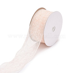 20 Yards Polyester Mesh Ribbon&nbsp;SRIB-P021-E05