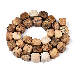 Natural Picture Jasper Beads Strands&nbsp;G-N353-03A-06