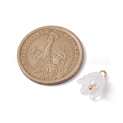 Acrylic Flower Charms&nbsp;PALLOY-JF02544