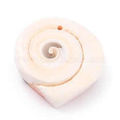Natural Spiral Shell Pendants&nbsp;BSHE-B003-11