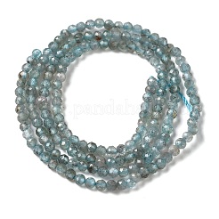 Natural Apatite Beads Strands&nbsp;G-C137-A01-01