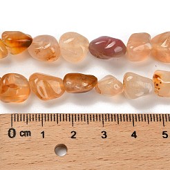 Natural Carnelian(Dyed & Heated) Beads Strands&nbsp;G-P497-01C-69
