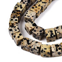 Natural Dalmatian Jasper Beads Strands&nbsp;G-T139-8x8-17A