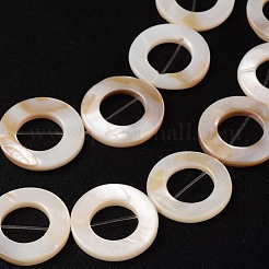 Natural White Shell Beads Strands&nbsp;X-PBB-XXBK014Y-13