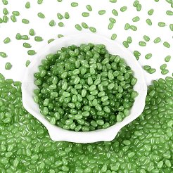 Imitation Jade Glass Beads&nbsp;GLAA-Q113-01A-B05