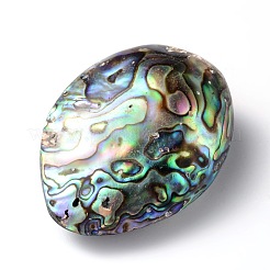 Oval Natural Paua Shell Beads&nbsp;SSHEL-F0008-01