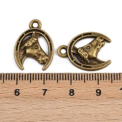 Tibetan Style Alloy Pendants&nbsp;LS-TIBE-B003-19AB
