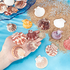 32Pcs 4 Style Natural Shell Pendant&nbsp;PALLOY-PH01861