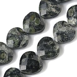 Natural Kambaba Jasper Beads Strands&nbsp;G-A309-A01-01