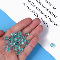 Transparent Acrylic Beads&nbsp;MACR-S373-133-T