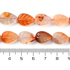 Natural Agate Carved Beads Strands&nbsp;G-H024-B01-01