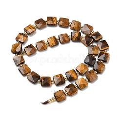Natural Tiger Eye Beads Strands&nbsp;G-L642-L03-10mm-02