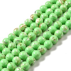 Synthetic Turquoise and Sea Shell Assembled Beads Strands&nbsp;G-D482-01C-02