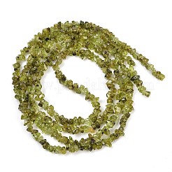 Natural Peridot Beads Strands&nbsp;G-P332-48-02