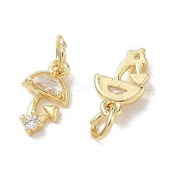 Brass Micro Pave Clear Cubic Zirconia Charms&nbsp;CU-CBADD0C-02G