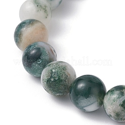 Natural Tree Agate Round Bead Stretch Bracelets for Women&nbsp;BJEW-JB09871