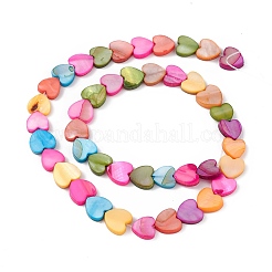 10 Strands Colorful Natural Freshwater Shell Dyed Beads Strands&nbsp;SHEL-M018-05