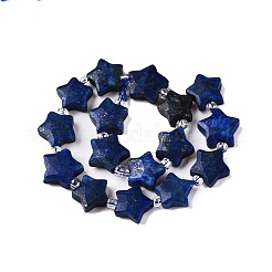 Dyed Natural Lapis Lazuli Dyed Beads Strands&nbsp;G-T138-190