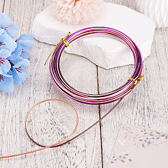 Gradient Color Aluminum Wire&nbsp;AW-TADJ0001-04B