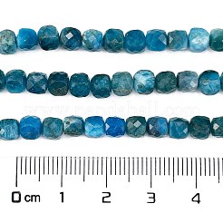 Natural Apatite Beads Strands&nbsp;X-G-E560-A07-4mm-A