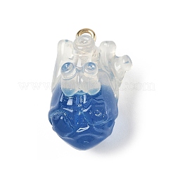 Transparent Resin Pendants&nbsp;CRES-D306-10G-B