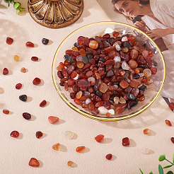 250G Dyed & Heated Natural Agate Beads&nbsp;G-TA0002-73D