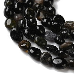 Natural Tourmaline Beads Strands&nbsp;G-C268-A02-8x10mm