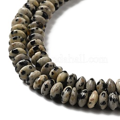 Natural Dalmatian Jasper Beads Strands&nbsp;G-Z030-A02-01