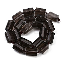 Natural Smoky Quartz Beads Strands&nbsp;G-G162-D18-02