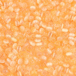 Glass Seed Beads&nbsp;X-SEED-N007-27E