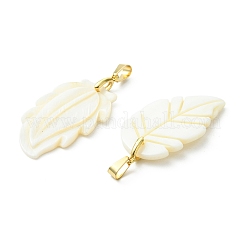 Natural Freshwater Shell Carved Pendants&nbsp;PALLOY-JF05384