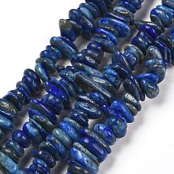 Natural Lapis Lazuli Stone Bead Strands&nbsp;X-G-R192-13