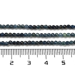 Natural Blue Tourmaline Beads Strands&nbsp;G-B088-C12-02