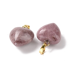 Natural Rhodonite Pendants&nbsp;G-I311-A02-G