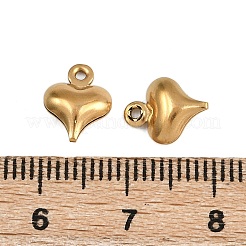 304 Stainless Steel Charms&nbsp;STAS-L297-09G