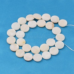 Natural White Shell Beads Strands&nbsp;X-PBB251Y-2