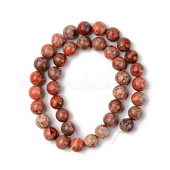 Natural American Turquoise Beads Strands&nbsp;G-S369-001D-B02