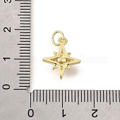 Brass Micro Pave Cubic Zirconia Pendants&nbsp;KK-V008-09G