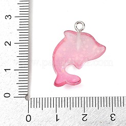 Ocean Theme Transparent Resin Pendants&nbsp;RESI-I351-03P-03
