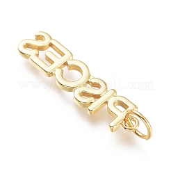 Brass Pendants&nbsp;ZIRC-I048-15G-09