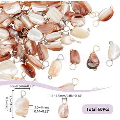 60Pcs 2 Colors Natural Seashell Nuggets Charms&nbsp;FIND-AR0005-68